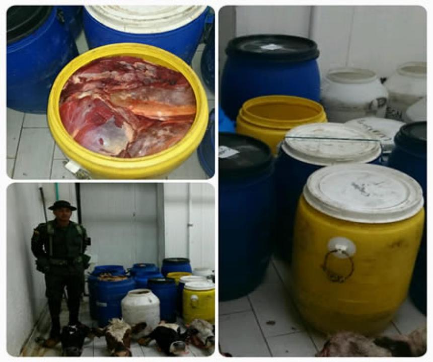 Imagen principal de la noticia