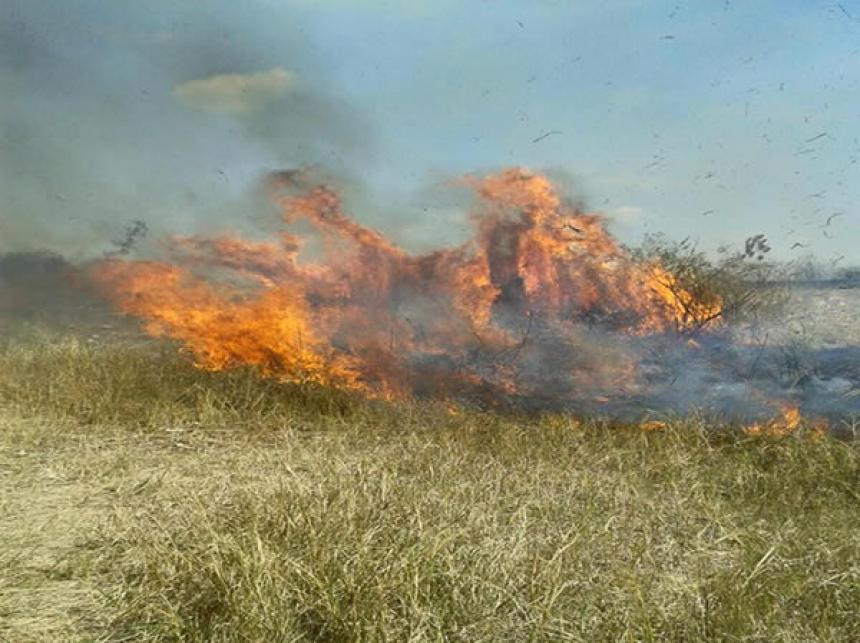 Imagen principal de la noticia