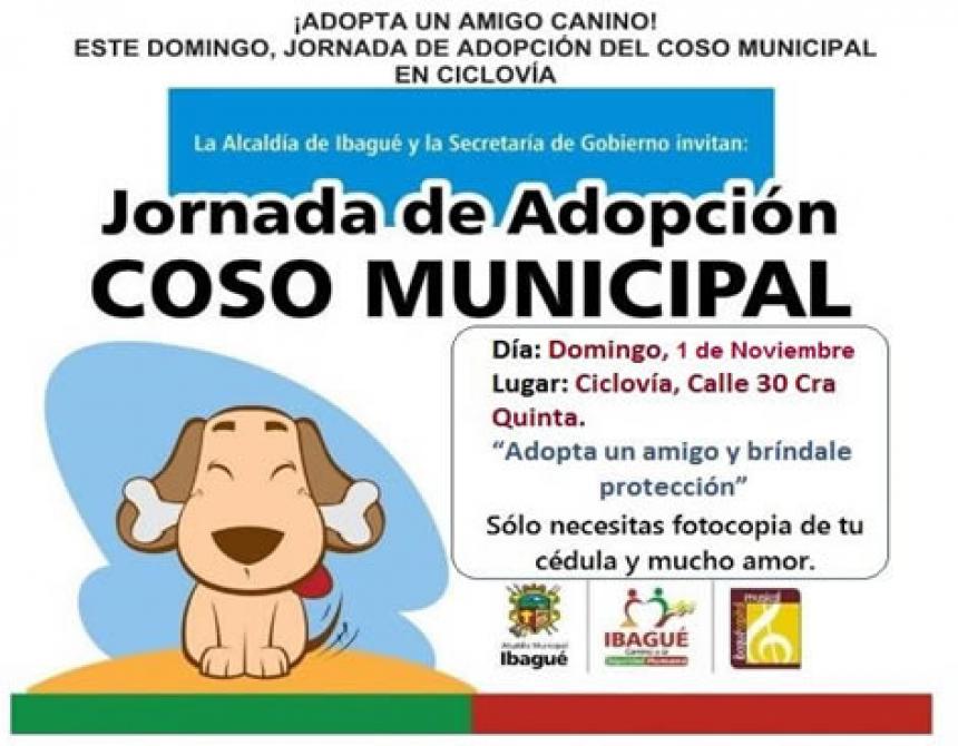 Imagen principal de la noticia