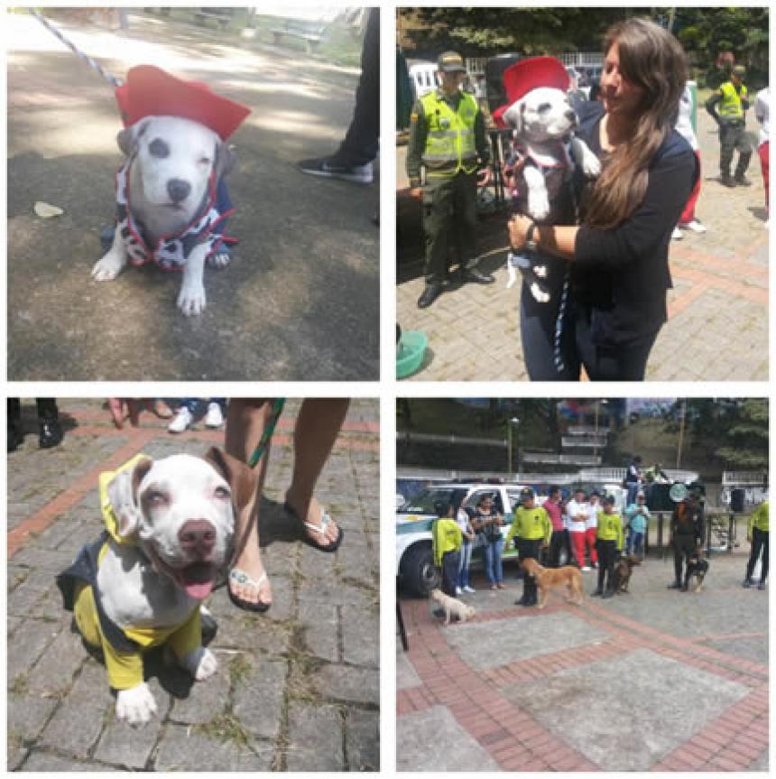 Imagen principal de la noticia