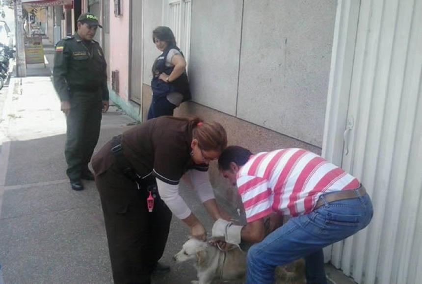 Imagen principal de la noticia