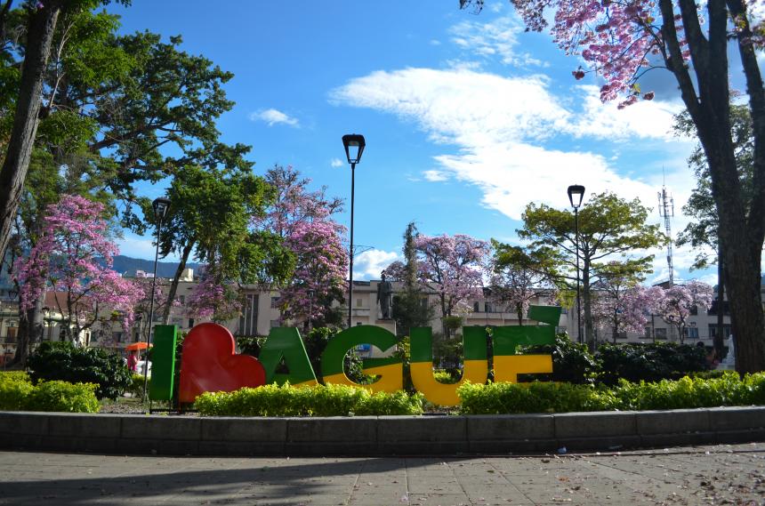 AlcaldÃ­a activÃ³ 30 zonas WiFi pÃºblicas gratuitas en IbaguÃ©